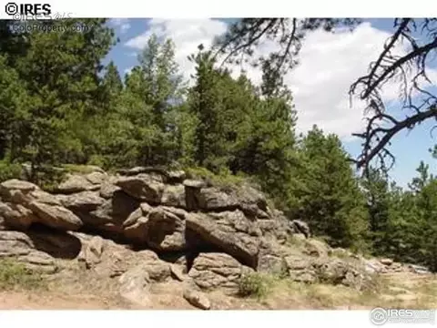 98 Crestridge Rd, Jamestown, CO 80455 photo 18