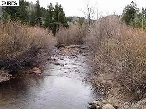98 Crestridge Rd, Jamestown, CO 80455 photo 26