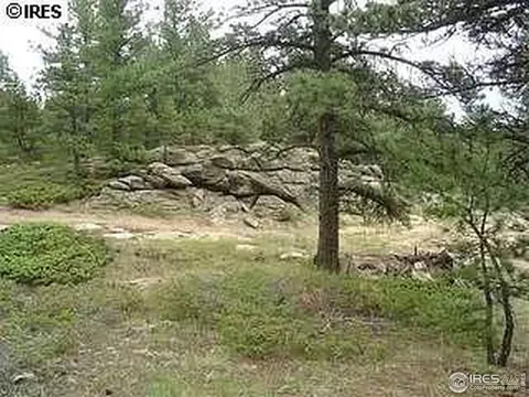 98 Crestridge Rd, Jamestown, CO 80455 photo 9