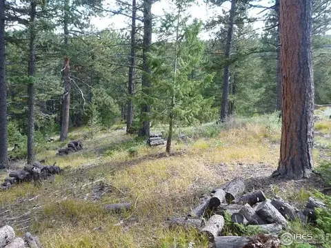 98 Crestridge Rd, Jamestown, CO 80455 photo 17