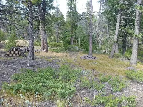 98 Crestridge Rd, Jamestown, CO 80455 photo 21
