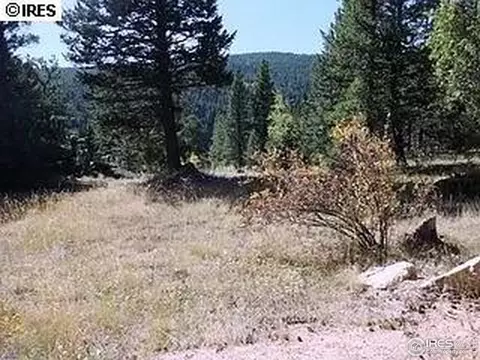 98 Crestridge Rd, Jamestown, CO 80455 photo 15