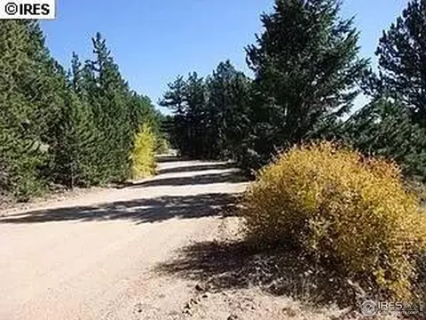 98 Crestridge Rd, Jamestown, CO 80455 photo 23