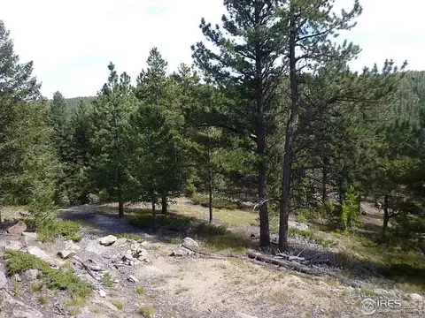 98 Crestridge Rd, Jamestown, CO 80455 photo 19