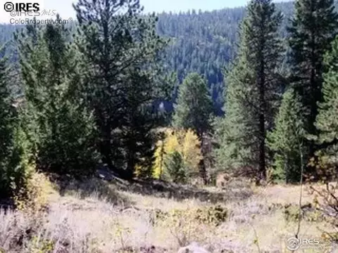 98 Crestridge Rd, Jamestown, CO 80455 photo 27