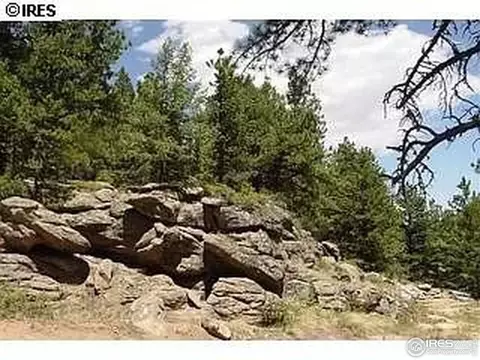 98 Crestridge Rd, Jamestown, CO 80455 photo 8