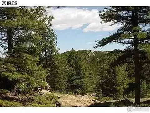 98 Crestridge Rd, Jamestown, CO 80455 photo 24