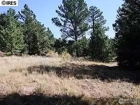 98 Crestridge Rd, Jamestown, CO 80455 photo 20
