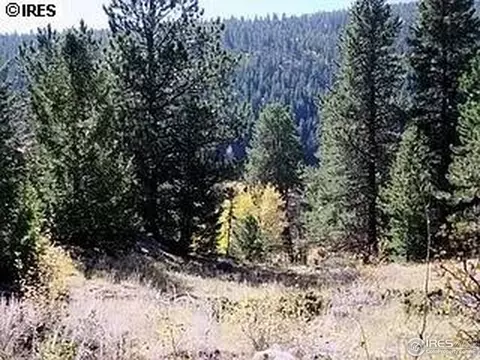 98 Crestridge Rd, Jamestown, CO 80455 photo 3