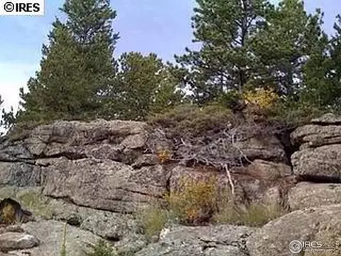 98 Crestridge Rd, Jamestown, CO 80455 photo 6