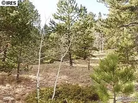 98 Crestridge Rd, Jamestown, CO 80455 photo 30