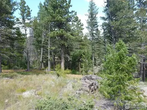 98 Crestridge Rd, Jamestown, CO 80455 photo 7