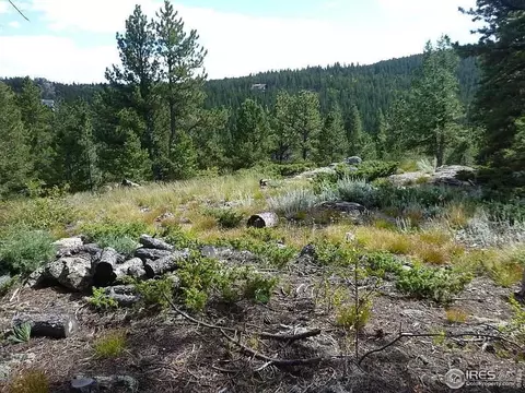 98 Crestridge Rd, Jamestown, CO 80455 photo 22