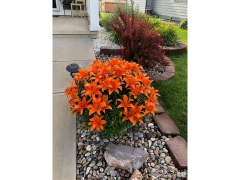 4308 Phlox Ln, Evans, CO 80620 photo 33