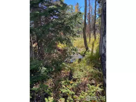 19 Axtupi Ct, Red Feather Lakes, CO 80545