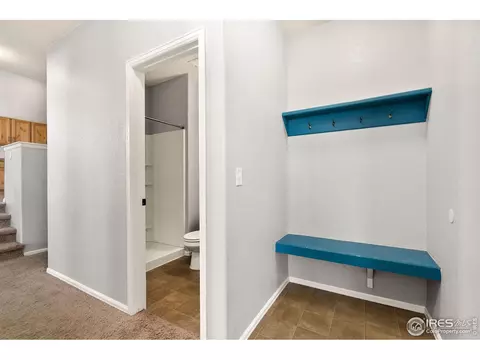 602 Cherryridge Dr, Windsor, CO 80550 photo 19