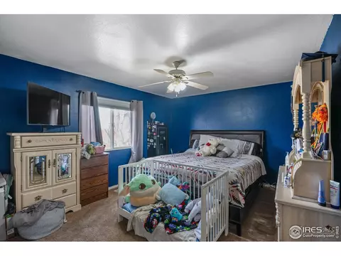 4003 Mallard Ave, Evans, CO 80620 photo 15