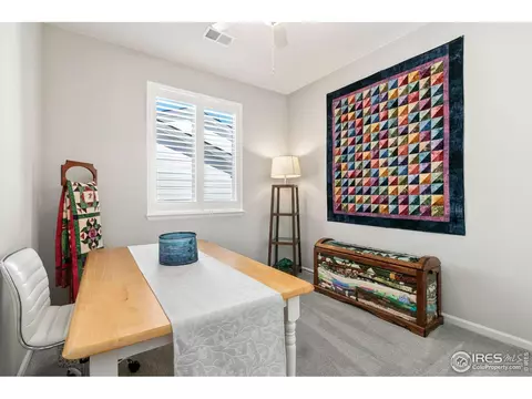 5641 Bay Hill Dr, Windsor, CO 80528 photo 21
