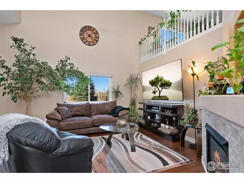 4898 Osprey Way, Frederick, CO 80504 photo 8