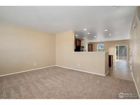 1657 Chelmsford Ct, Windsor, CO 80550 photo 5