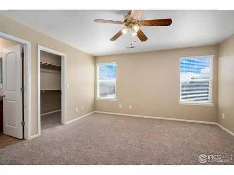 1657 Chelmsford Ct, Windsor, CO 80550 photo 14