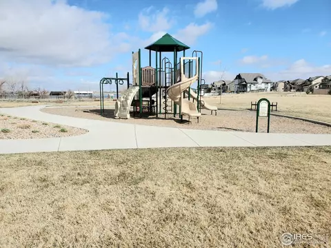 1711 Bright Shore Way, Windsor, CO 80550 photo 36