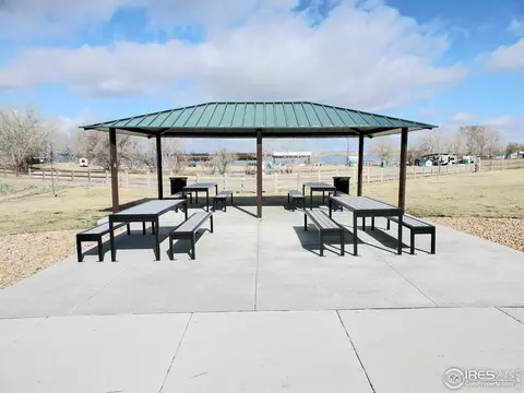1711 Bright Shore Way, Windsor, CO 80550 photo 38