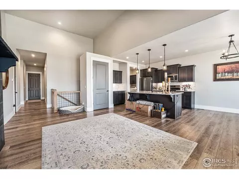 1711 Bright Shore Way, Windsor, CO 80550 photo 9