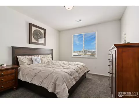 652 Park Edge Cir, Windsor, CO 80550 photo 19