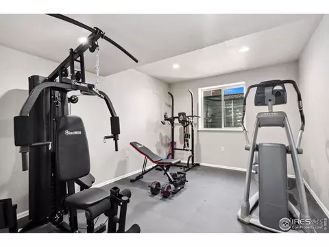 652 Park Edge Cir, Windsor, CO 80550 photo 23