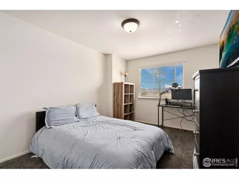 652 Park Edge Cir, Windsor, CO 80550 photo 15