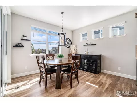 6068 Gannet Dr, Timnath, CO 80547 photo 11