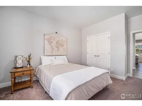 6068 Gannet Dr, Timnath, CO 80547 photo 21