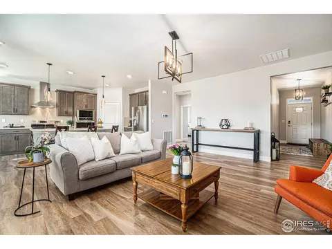 6068 Gannet Dr, Timnath, CO 80547 photo 4