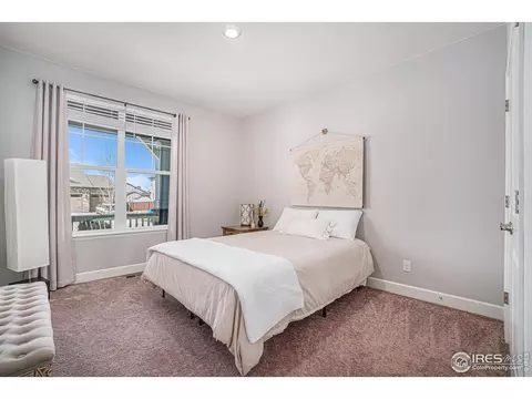 6068 Gannet Dr, Timnath, CO 80547 photo 20