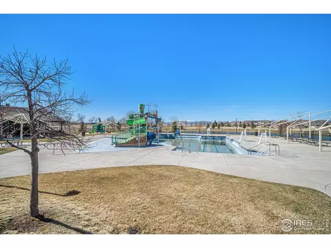 6068 Gannet Dr, Timnath, CO 80547 photo 33