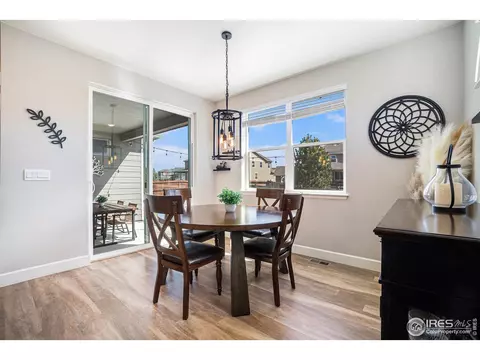 6068 Gannet Dr, Timnath, CO 80547 photo 12