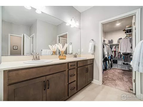6068 Gannet Dr, Timnath, CO 80547 photo 17