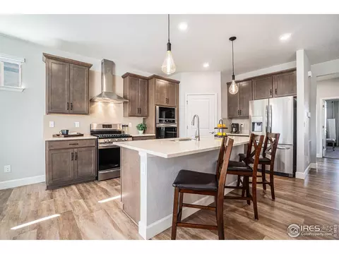 6068 Gannet Dr, Timnath, CO 80547 photo 9