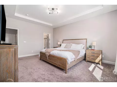 6068 Gannet Dr, Timnath, CO 80547 photo 16