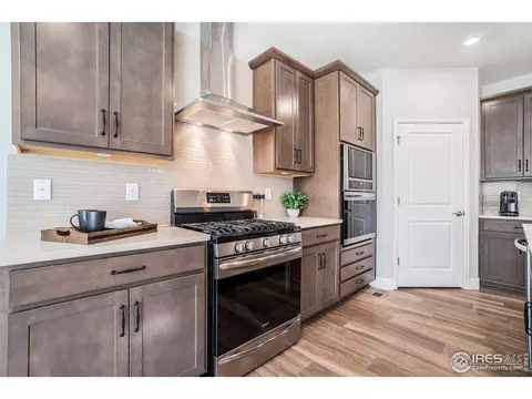 6068 Gannet Dr, Timnath, CO 80547 photo 10