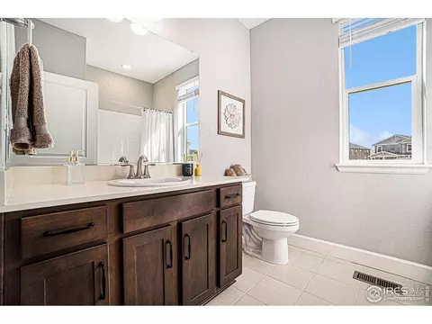 6068 Gannet Dr, Timnath, CO 80547 photo 13