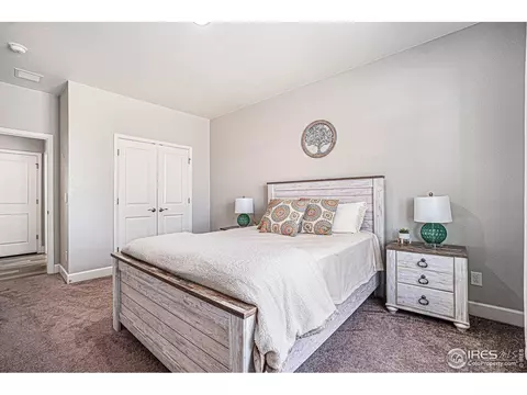 6068 Gannet Dr, Timnath, CO 80547 photo 19