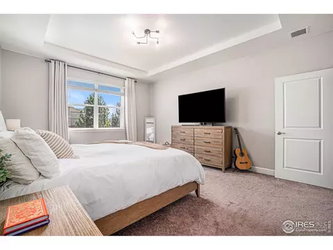 6068 Gannet Dr, Timnath, CO 80547 photo 15