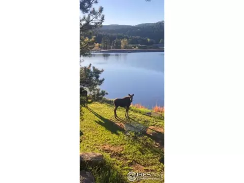 82 Mirror Lake Ct, Lyons, CO 80540 photo 36