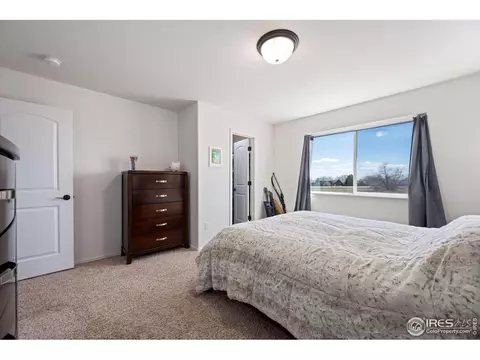 687 Takin Dr, Severance, CO 80550 photo 15