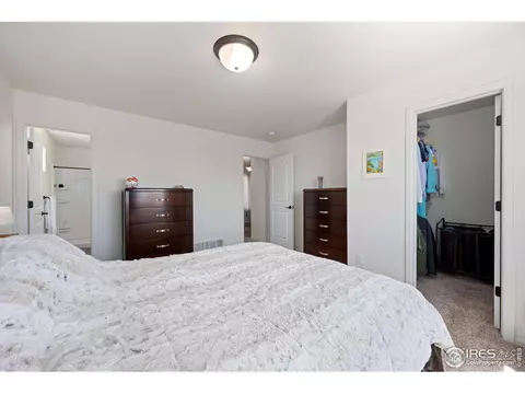 687 Takin Dr, Severance, CO 80550 photo 16