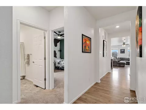 1669 Gratton Ct, Windsor, CO 80550 photo 4