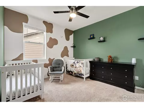 1669 Gratton Ct, Windsor, CO 80550 photo 5