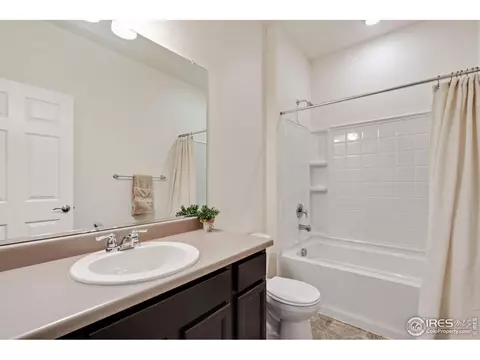 1669 Gratton Ct, Windsor, CO 80550 photo 6